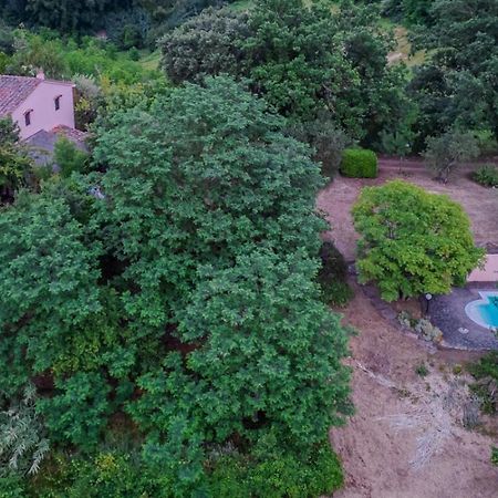 La Casa Nel Bosco Villa Lari Eksteriør billede