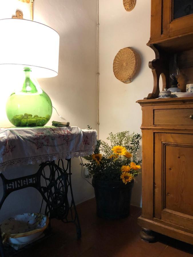 La Casa Nel Bosco Villa Lari Eksteriør billede