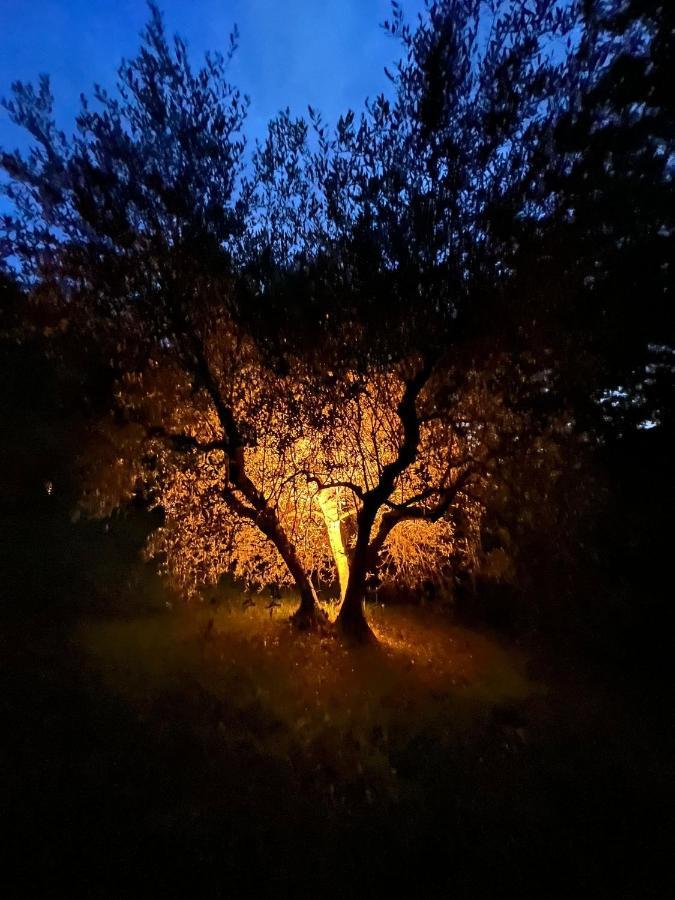 La Casa Nel Bosco Villa Lari Eksteriør billede