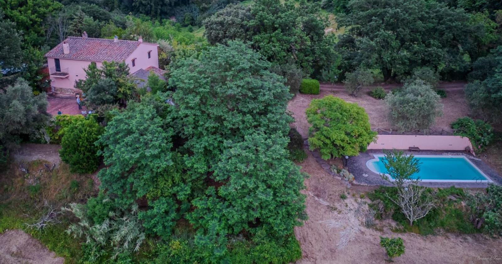 La Casa Nel Bosco Villa Lari Eksteriør billede